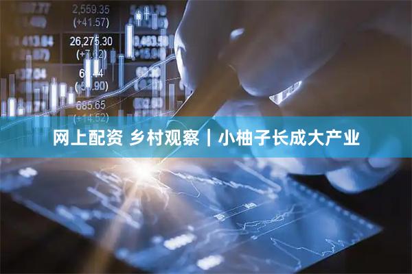 网上配资 乡村观察｜小柚子长成大产业